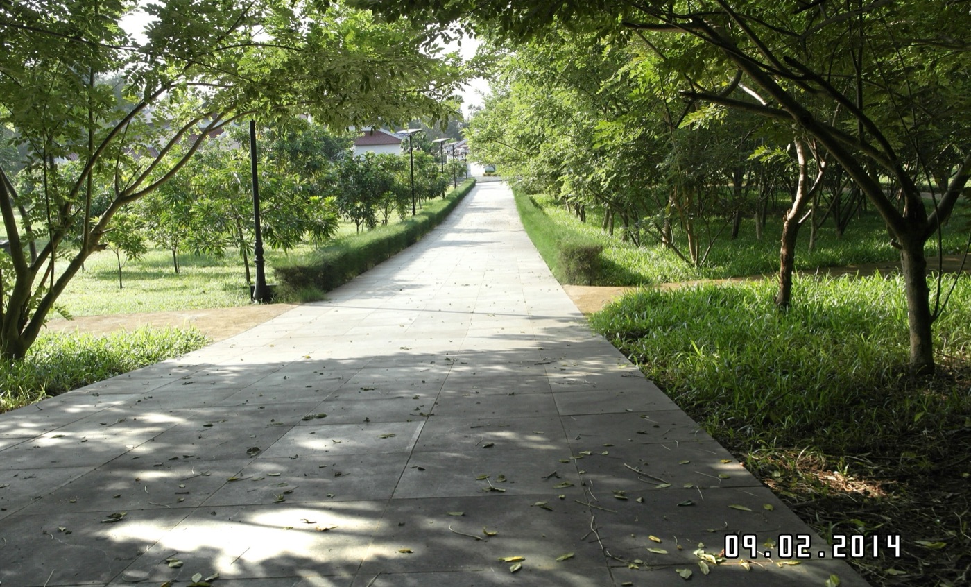 Hàng mộ trong nghĩa trang Hàng Dương, Côn Đảo