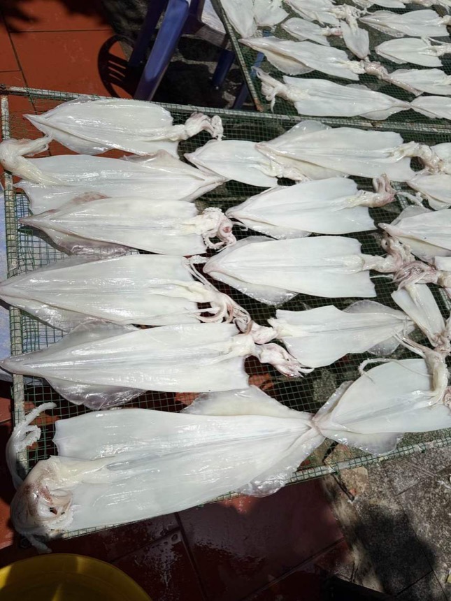 Giàn phơi mực một nắng nhà Côn Của