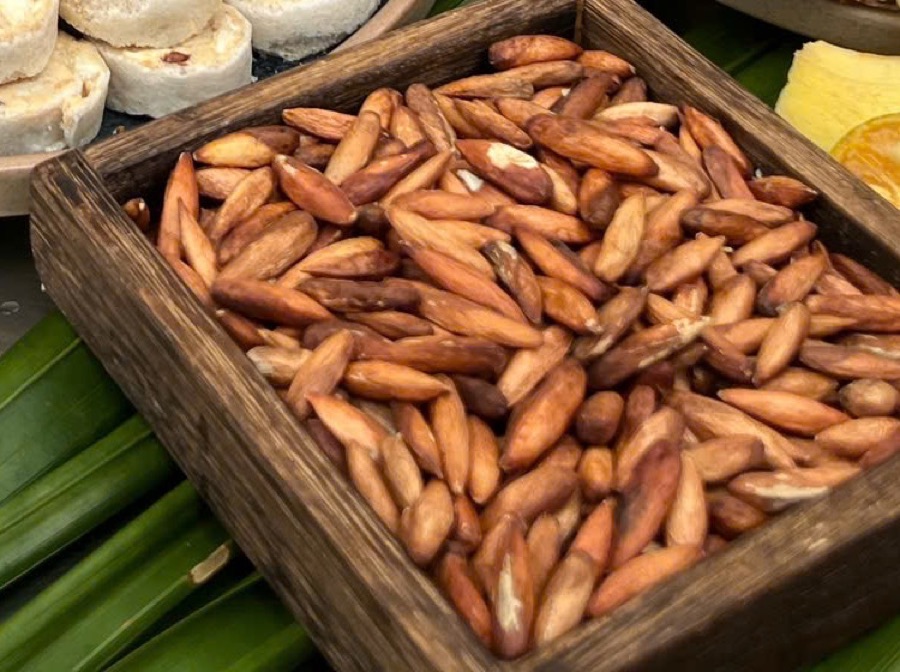 Nhân hạt bàng đã tách vỏ